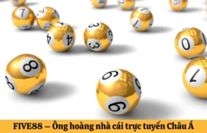 Dàn đề là gì?