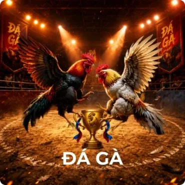 Đá gà